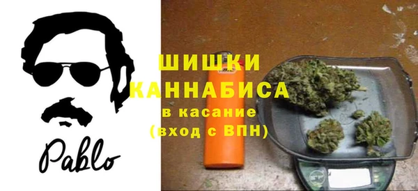 сатива Армянск