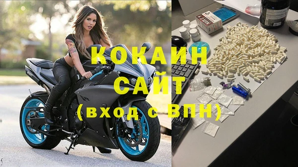 дживик Алексин