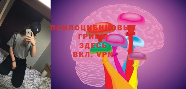 дживик Алексин