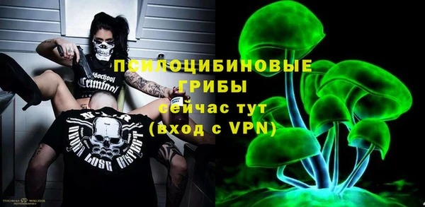бошки Арсеньев