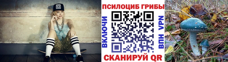 МЕГА рабочий сайт  Себеж  Галлюциногенные грибы Psilocybe  купить  
