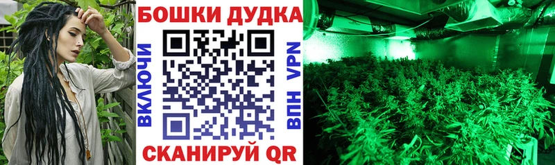 Шишки марихуана VHQ  купить наркоту  Себеж 